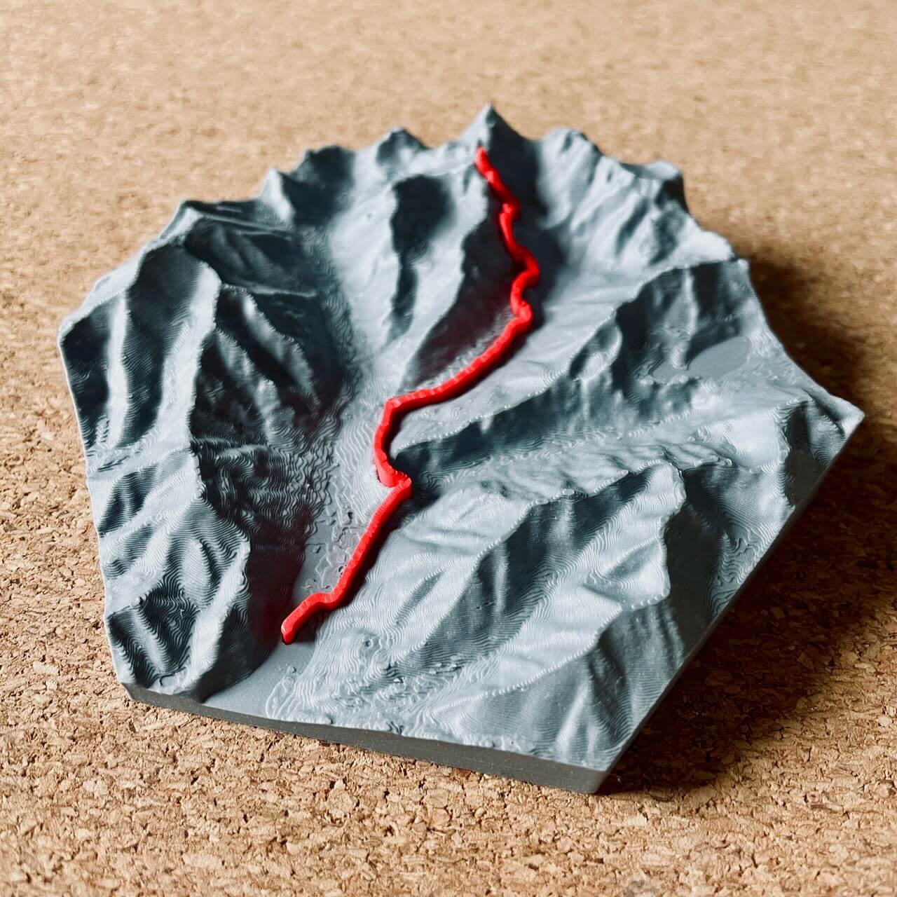 TrackForge